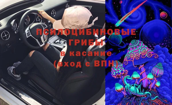 молекула духа Вязьма