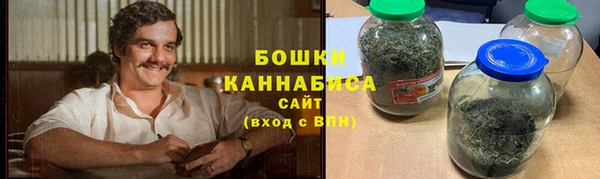 спиды Вяземский