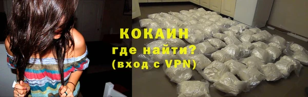 прущие грибы Вязники