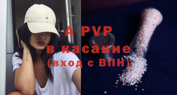 прущие грибы Вязники
