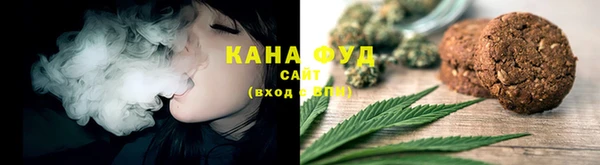 спиды Вяземский