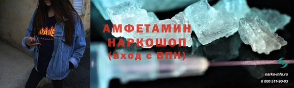 прущие грибы Вязники