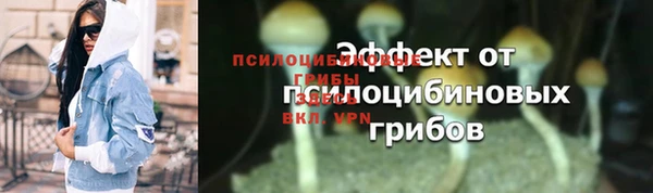 спиды Вяземский
