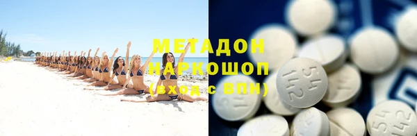 прущие грибы Вязники