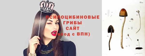 молекула духа Вязьма