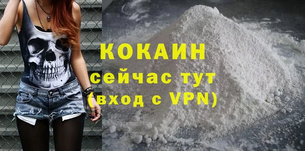 молекула духа Вязьма
