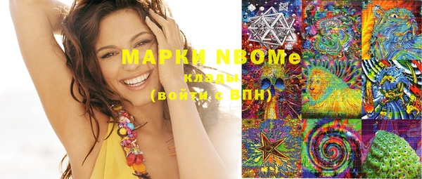 спиды Вяземский