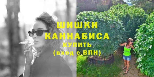 молекула духа Вязьма
