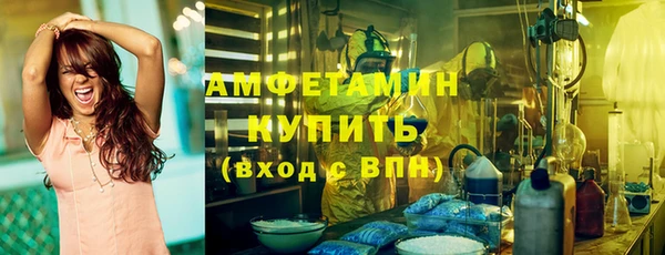 прущие грибы Вязники