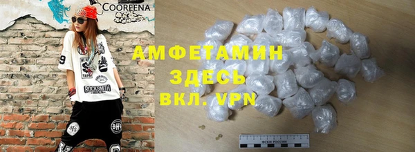 спиды Вяземский