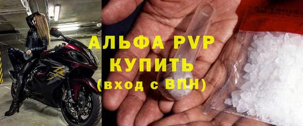 прущие грибы Вязники